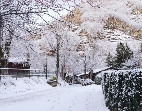 Campeggio Parco Dei Castagni