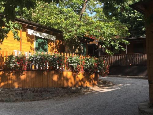 Campeggio Parco Dei Castagni