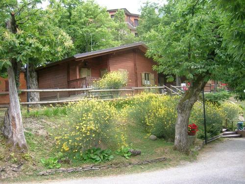 Campeggio Parco Dei Castagni