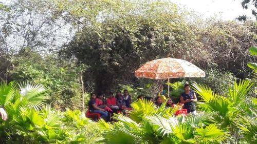 Hotel Chandaka Nature Resort