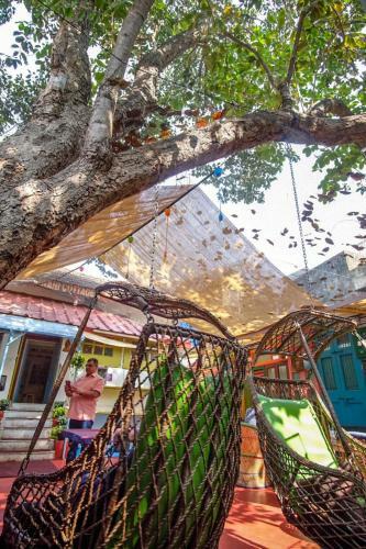 Albergue Namastey Mumbai Backpackers