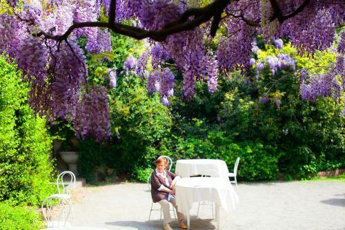 Hotel Albergo Ristorante Madonnina