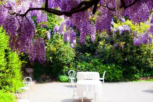 Hotel Albergo Ristorante Madonnina