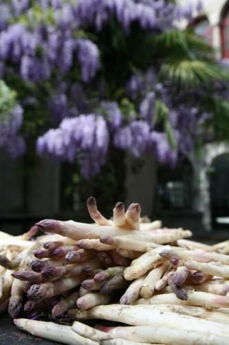 Hotel Albergo Ristorante Madonnina