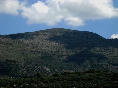 Hostal Agriturismo Casale R�