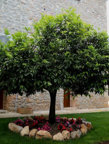 Hostal Agriturismo Casale R�