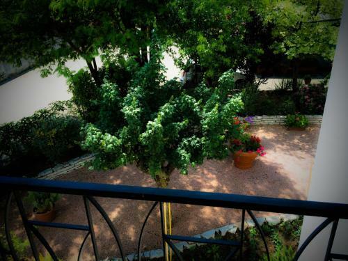 Bed & Breakfast Don Carlos