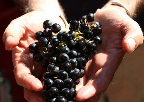 Agroturismo Tenuta San Marcello