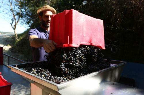 Agroturismo Tenuta San Marcello