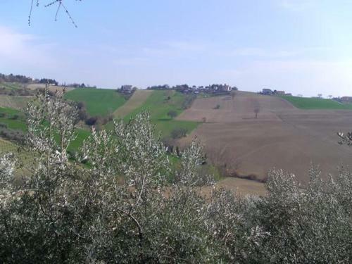 Agroturismo All'ombra Degli Ulivi B&B