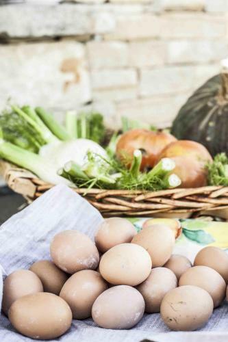 Agroturismo Azienda Agrituristica Alcastl�