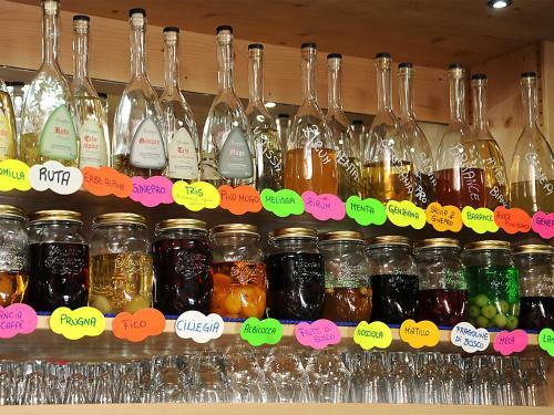 Hostal Rifugio Fedaia