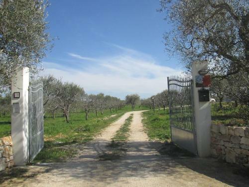 Agroturismo Il Giardino Dei Ciliegi - Turi