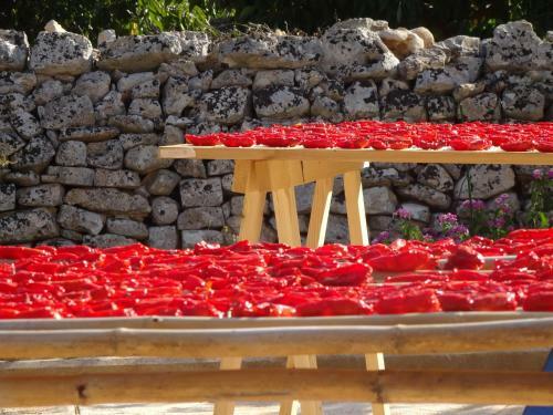 Agroturismo Il Giardino Dei Ciliegi - Turi