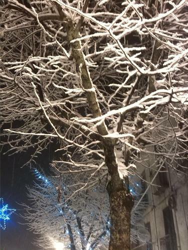 Bed & Breakfast La Dodicesima Notte