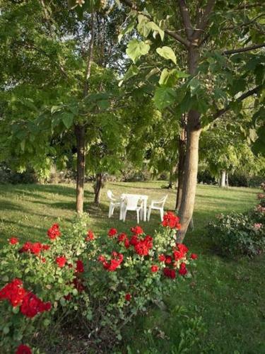 Agroturismo Agriturismo Il Brugnolo