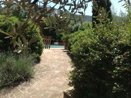 Agroturismo Agriturismo Collelignani