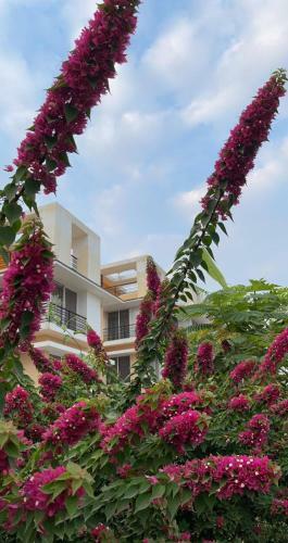 Villa Royal Meadows - Igatpuri Bungalow B