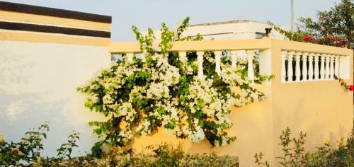 Villa Royal Meadows - Igatpuri Bungalow B