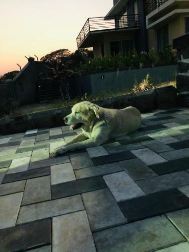 Villa Royal Meadows - Igatpuri Bungalow A