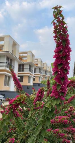 Villa Royal Meadows - Igatpuri Bungalow A