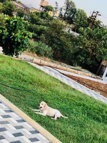 Villa Royal Meadows - Igatpuri Bungalow C