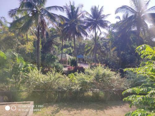 Hotel Coorg Anekad Jungle Stay Resort