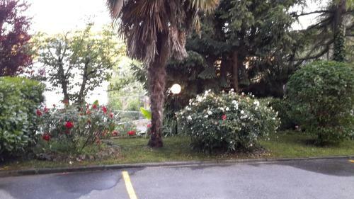 Albergo Hotel Garden Ristorante