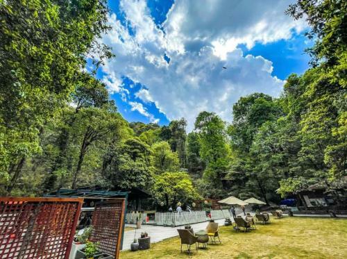 Hotel Ayar Jungle Resort