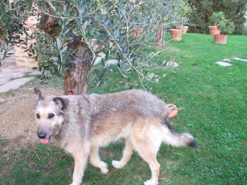 Agroturismo Agriturismo Cascina Colombaro