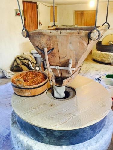 Bed & Breakfast Mortirolo