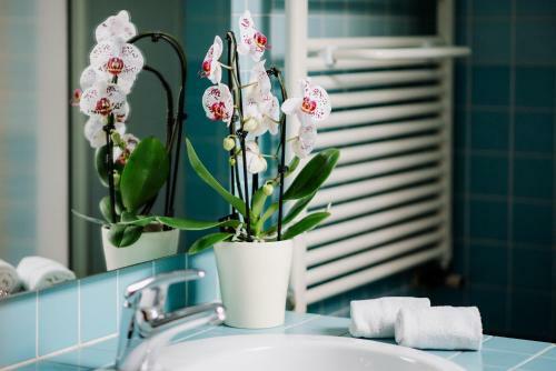 Bed & Breakfast La Dolce Vita