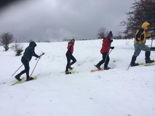 Hostal Locanda Mausonium