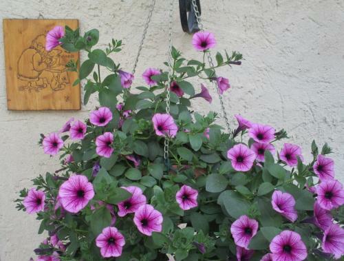 Bed & Breakfast Barba Bertu