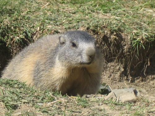 Bed & Breakfast Barba Bertu