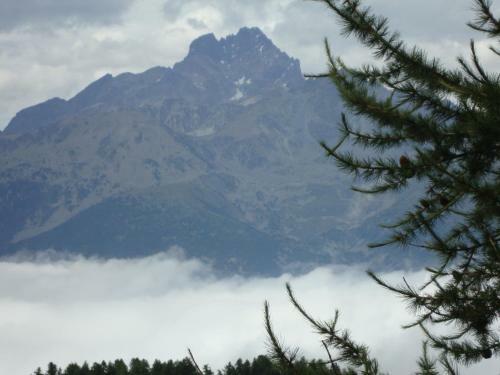 Bed & Breakfast Barba Bertu