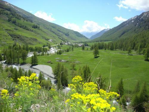 Bed & Breakfast Barba Bertu