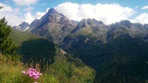 Bed & Breakfast Barba Bertu