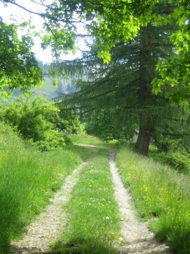 Bed & Breakfast Barba Bertu