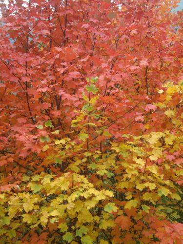 Bed & Breakfast Barba Bertu