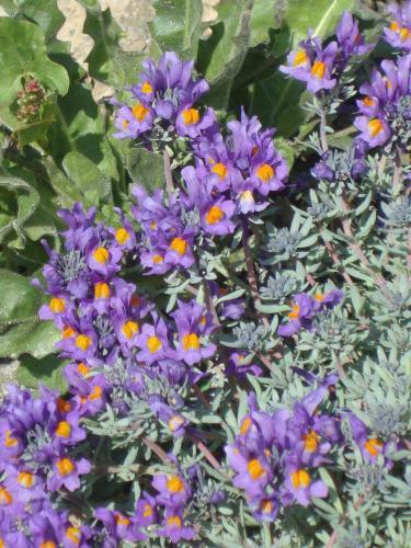 Bed & Breakfast Barba Bertu