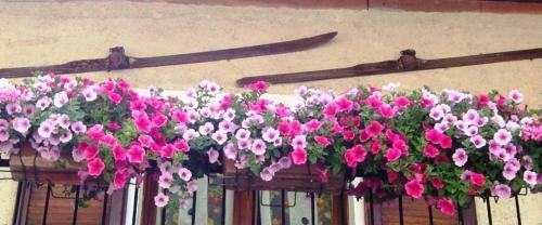 Bed & Breakfast Barba Bertu