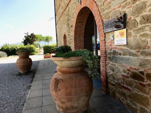 Agroturismo Agriturismo La Colmata