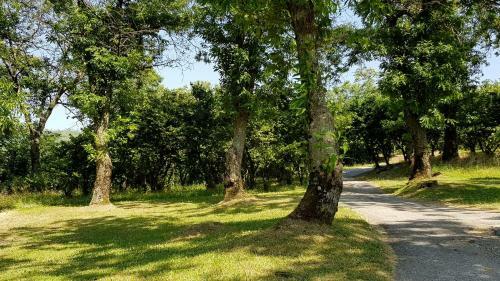 Agroturismo Agriturismo Ricciardelli