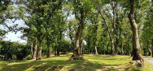 Agroturismo Agriturismo Ricciardelli