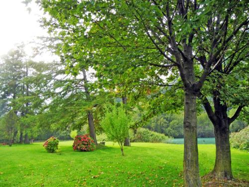 Hotel Albergo Miralaghi