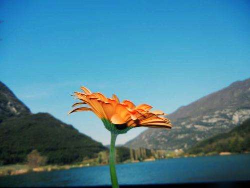 Hotel Albergo Miralaghi