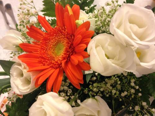 Hotel Albergo Miralaghi