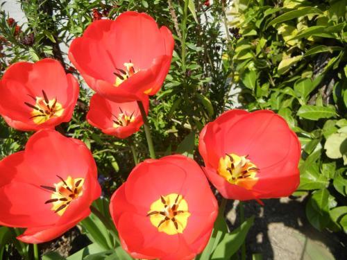 Hotel Albergo Miralaghi