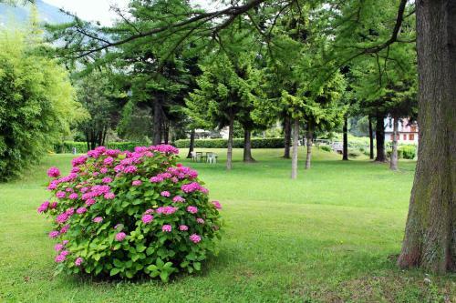 Hotel Albergo Miralaghi